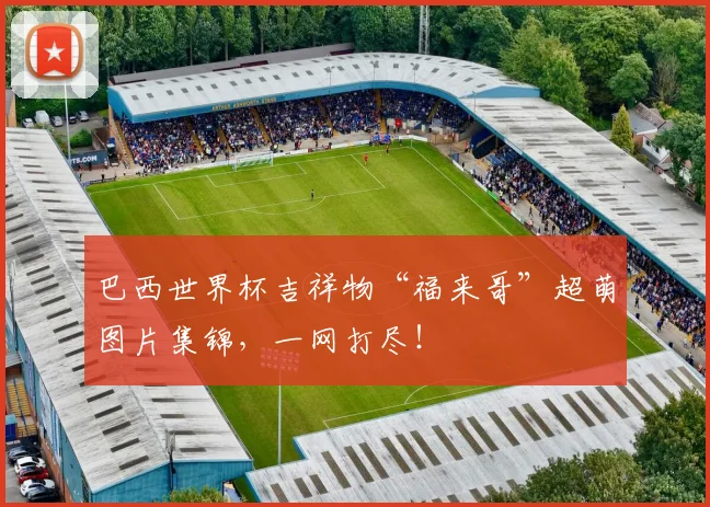 巴西世界杯吉祥物“福来哥”超萌图片集锦,一网打尽!