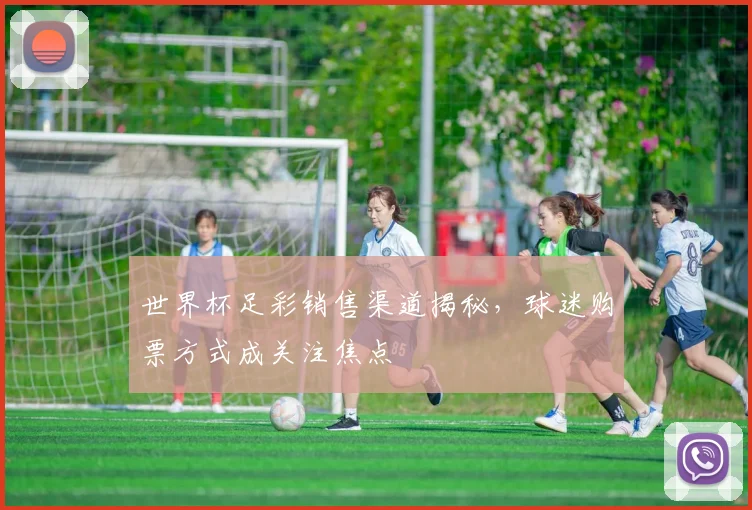 世界杯足彩销售渠道揭秘,球迷购票方式成关注焦点