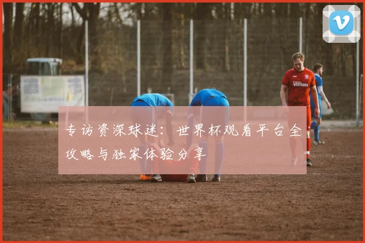 专访资深球迷：世界杯观看平台全攻略与独家体验分享
