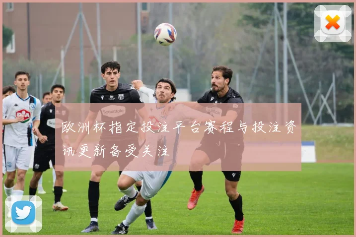 欧洲杯指定投注平台赛程与投注资讯更新备受关注