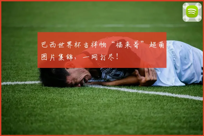 巴西世界杯吉祥物“福来哥”超萌图片集锦，一网打尽！