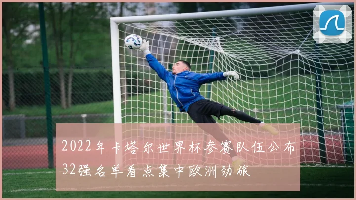 2022年卡塔尔世界杯参赛队伍公布32强名单看点集中欧洲劲旅