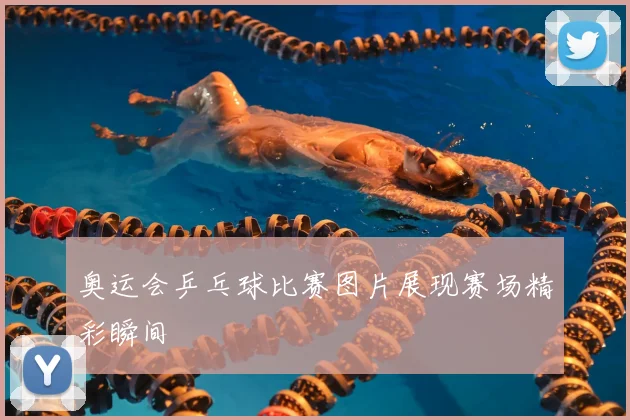 奥运会乒乓球比赛图片展现赛场精彩瞬间