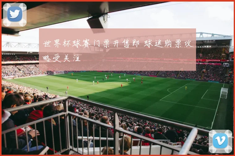 世界杯球赛门票开售即 球迷购票攻略受关注