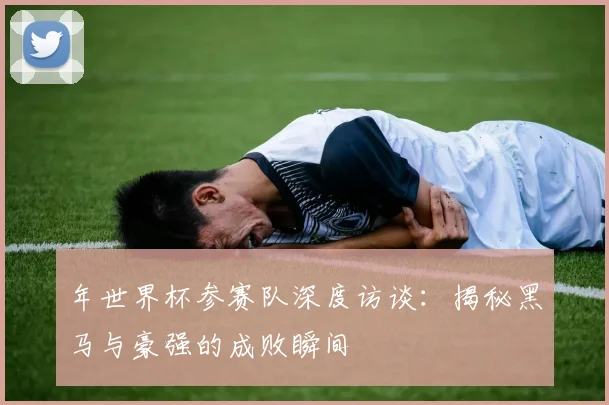 年世界杯参赛队深度访谈：揭秘黑马与豪强的成败瞬间